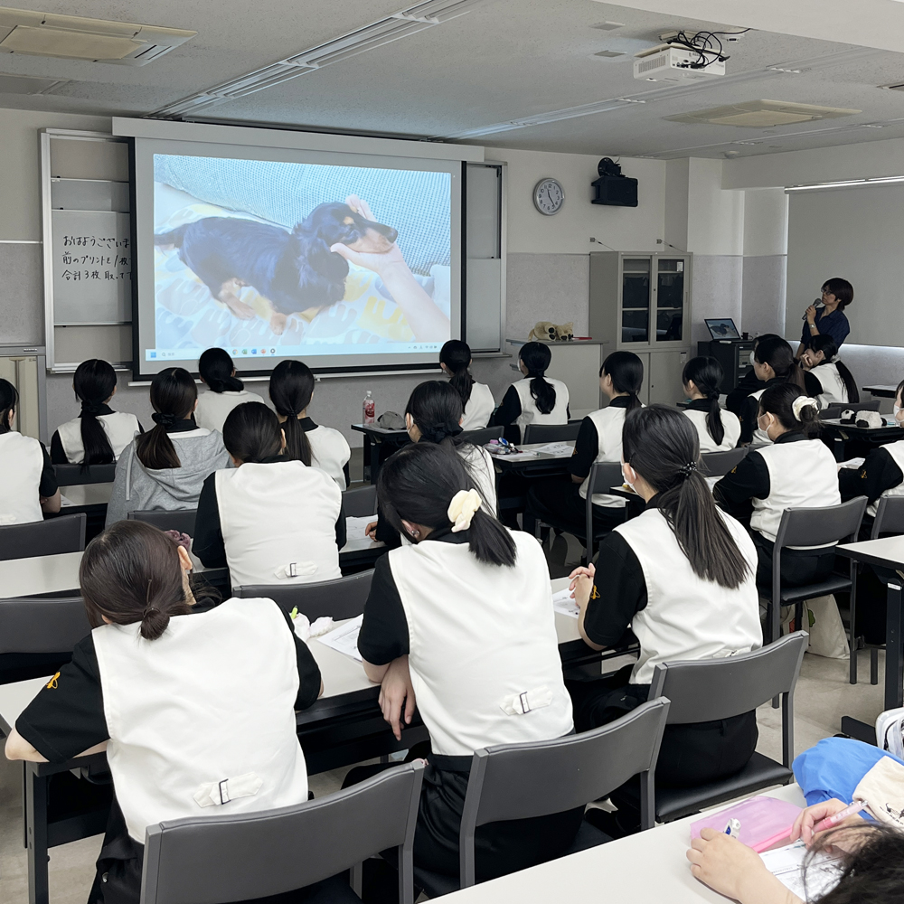 犬の行動学を学びます！